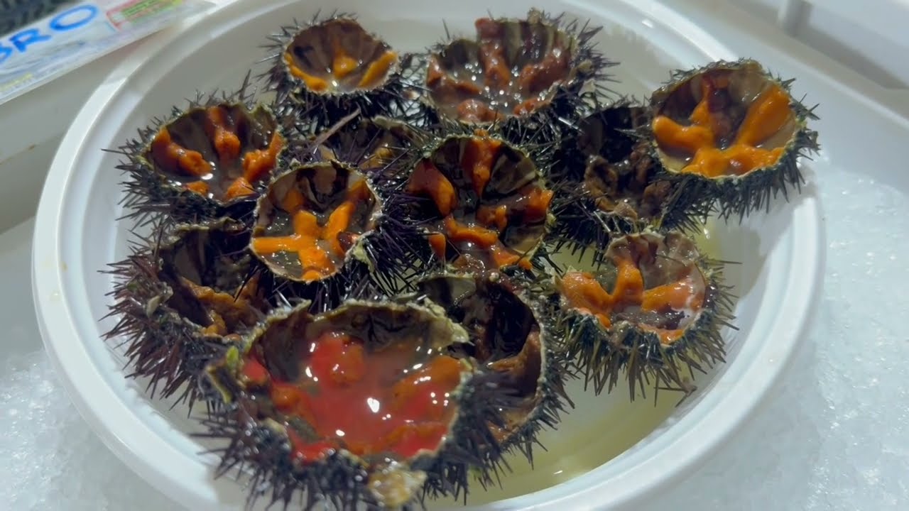 Ricci di mare a peso d’oro, a Bari fino a 10 euro al pezzo: fermo pesca e import cambiano i listini