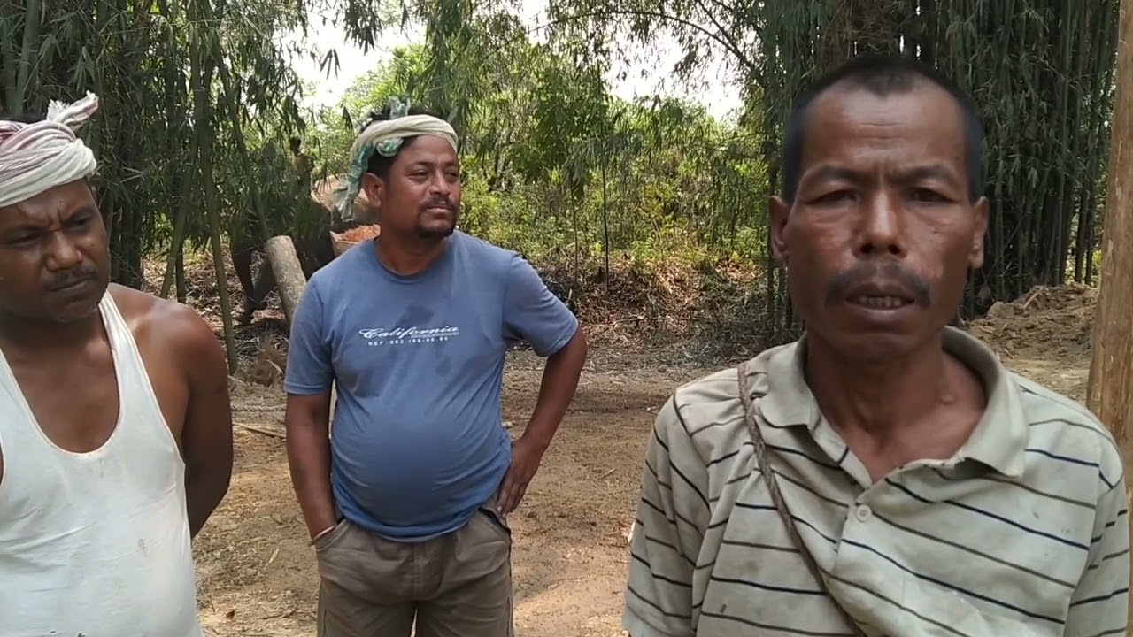 Elephant training prat 1