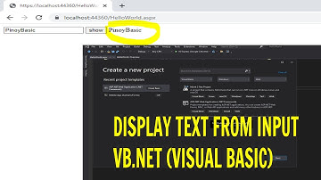 VB.NET Tutorial Display Text Input (VISUAL BASIC)