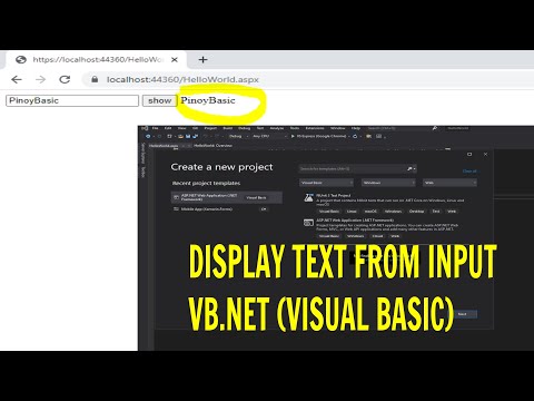 VB.NET Tutorial Display Text Input (VISUAL BASIC)