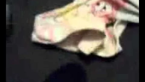Max taking my tennie shoe