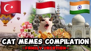 CAT MEMES: FAMILY VACATION COMPILATION FULL