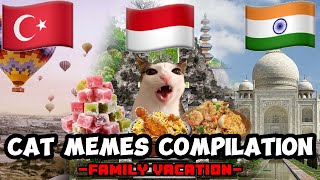 CAT MEMES: FAMILY VACATION COMPILATION