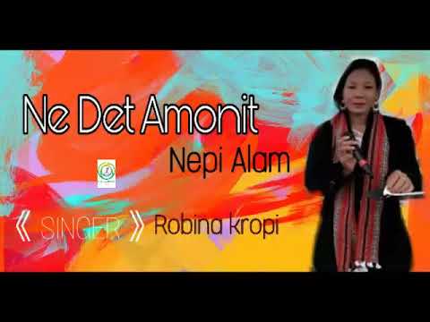 Ne Det Amonit Nepi Alam  Robina Kropi   New Release 2k21  karbimusicVIDEOS