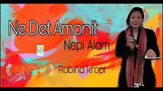 Ne Det Amonit-Nepi Alam || Robina Kropi ||  New Release 2k21 || karbimusicVIDEOS