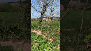 Guernsey Countryside - Virtual Walking Festival Taster