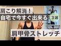 肩こり解消ストレッチ！トレーニングチューブ・ゴムバンドを使った肩甲骨まわりのエクササイズ