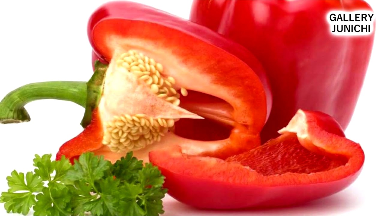 Ingin Menanam PAPRIKA Di Dalam Pot ??? Begini Cara Mudahnya 