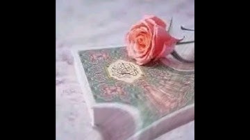 الفاتحة،، مع ما تيسر من سورة التحريم ☝️☝️☝️☝️☝️☝️☝️