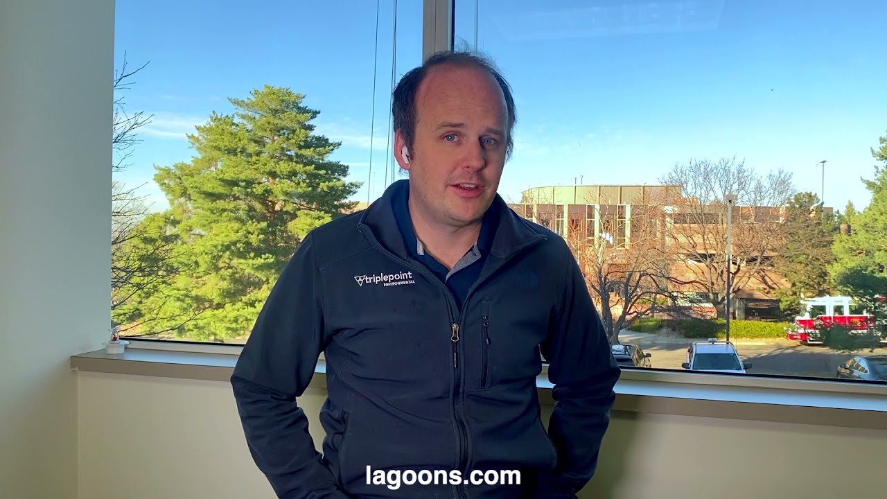 The best way to improve lagoon effluent