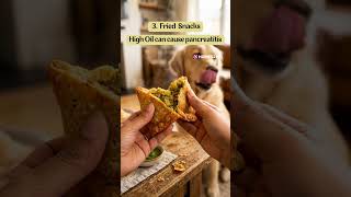 Are You Feeding Your Dog This? Watch Now ⚠️ #dogtips