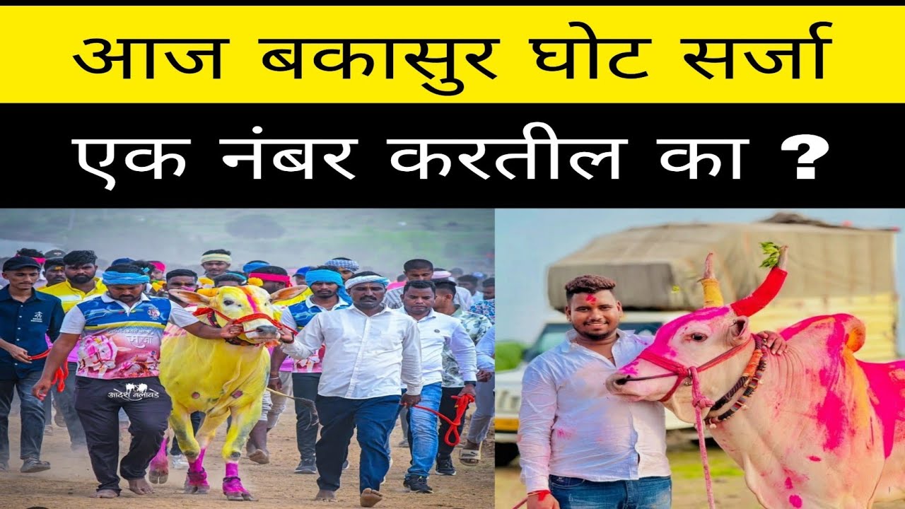 आज बकासुर लखन सर्जा चिक्या सम्राट रायफल सुंदर तेजा दिवाण्या राजा सम्राट कोण करतील एक नंबर मानकरी ?