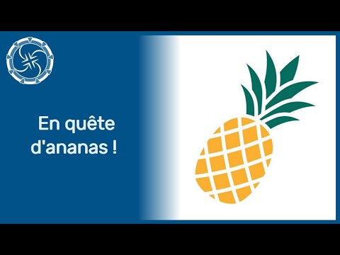 En quête d'ananas !