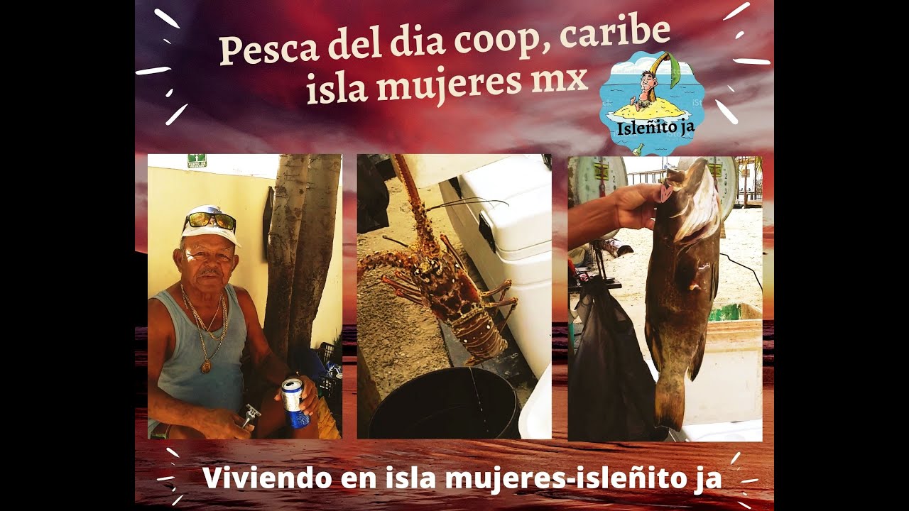 PESCA DEL DIA , COOPERATIVA CARIBE, ISLA MUJERES.