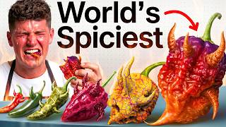 I Cooked The World's Every EXOTIC Hot Pepper - The Biggest Food Battle | Nick DiGiovanni Compilation