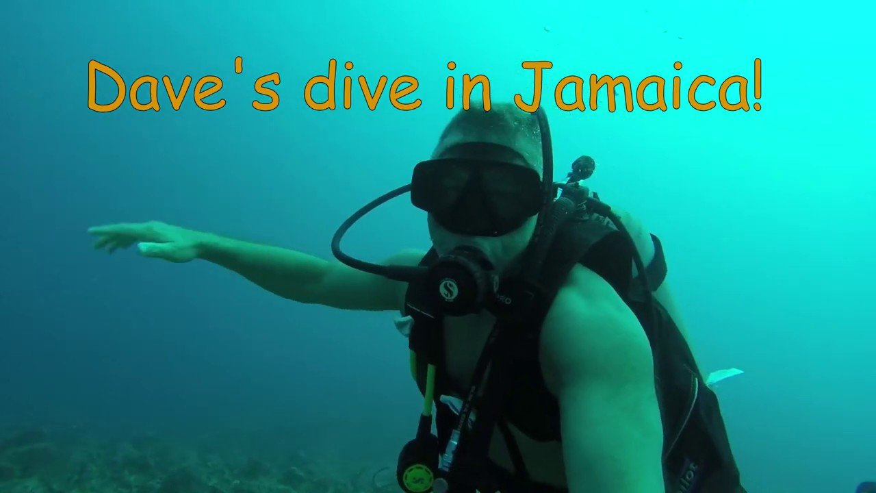 Dive Jamaica YouTube