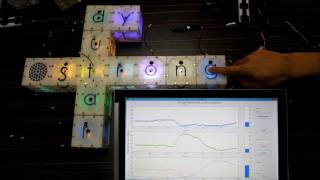 Bio-inspired Network Data Flow Control Net Worth