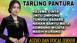 TARLING PANTURA // LAGU TARLING PANTURA TERBARU PALING SERING DIPUTAR