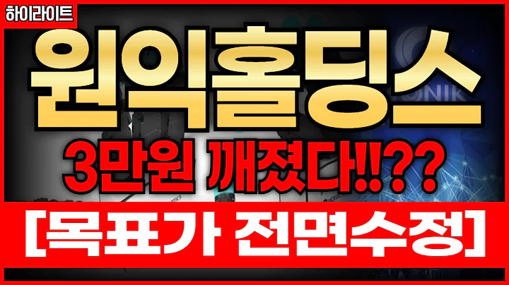 🔴원익홀딩스 위기인가 기회인가!! 리스크 및 대응법 대공개!! 하이라이트