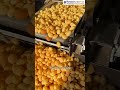 "अब पुरी तलना हुआ आसान! Panipuri Fryer Machine से बढ़ाओ कमाई"