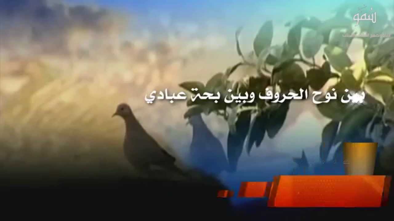 شيلة نوح الحروف كلمات الشاعر بو يوسف العارضي رحمه الله اداء رائد الغضباني