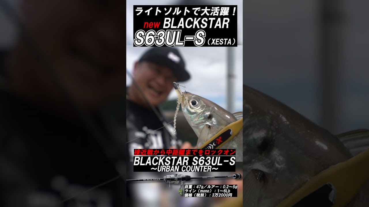 Just the one rod for light saltwater fishing! 