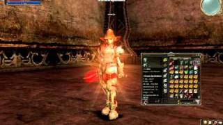Lineage 2 Hero Weapons +50