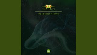 The Splendor Of Infinity