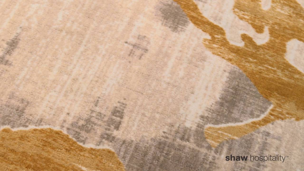 Shaw Hospitality Group - Live From HD Expo 2016 hdpopcorn