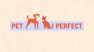 Pet Perfect RV
