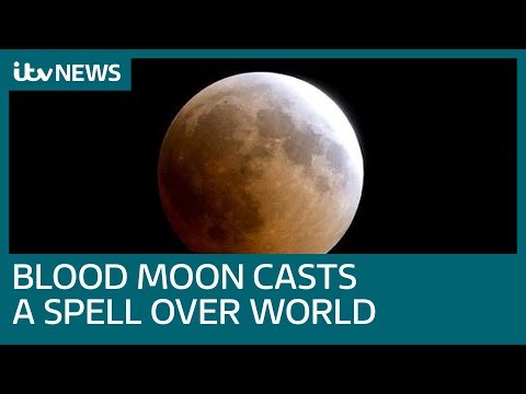 World looks to the sky as rare 'blood moon' Lunar Eclipse comes into view | ITV News