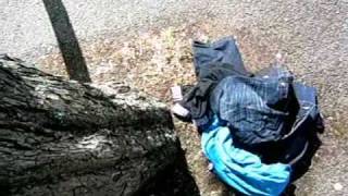 The Life Changing Super Market Journey.wmv