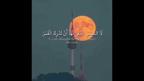 حالات واتس اب قرآن💜🕊// بصوت القارئ ماهر المعيقلي🍃🕊