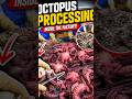 🔥 Octopus Processing Factory | How Thousands of Octopus Are Cleaned & Packed 🐙