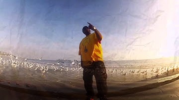 Craig G - Originality [Music Video]
