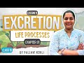 Excretion In Plants and Animals| Life Processes | Chapter 1 | Class 10| Lecture 11| By Pallavi Kohli