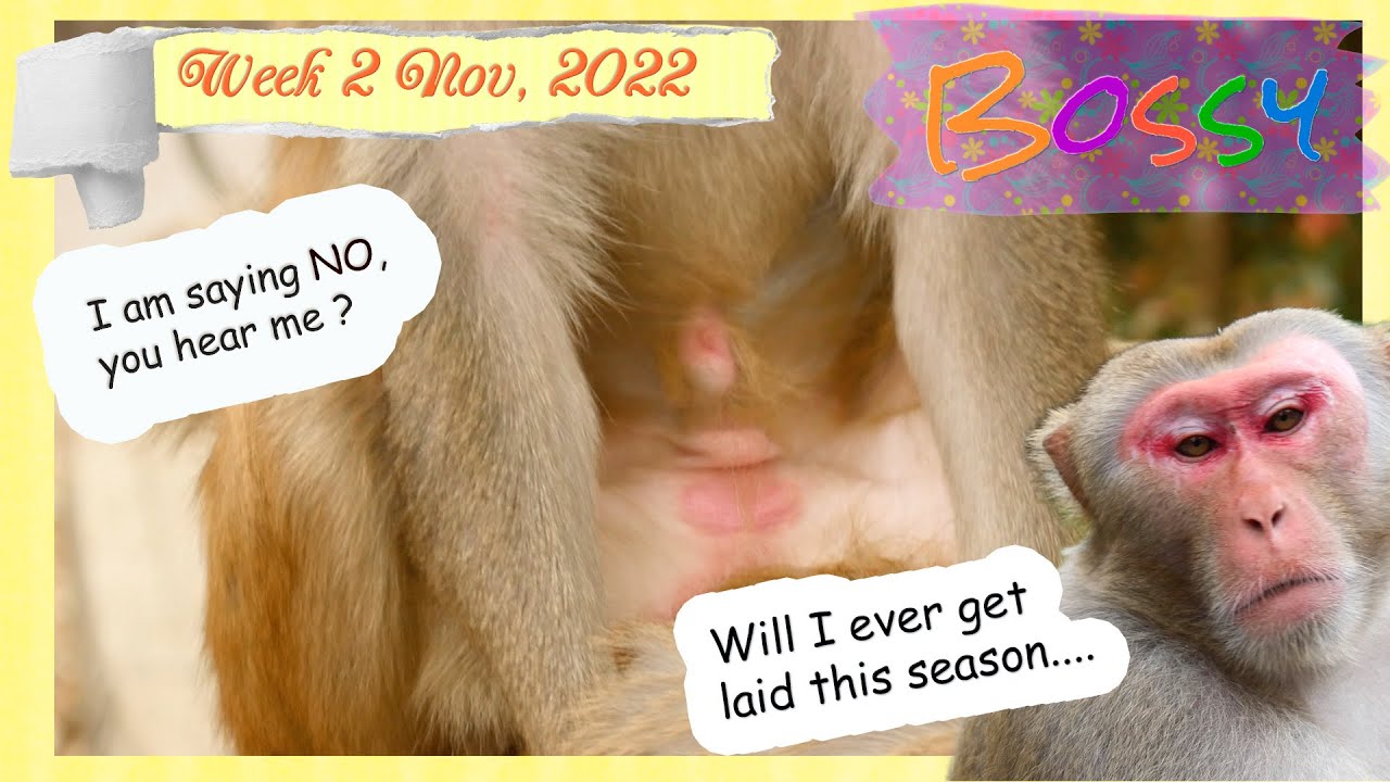 The meltdown of baby Riy I - love ❤️ isn't risk-free