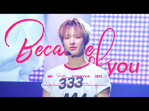 NEXZ TOMOYA」251025 Because of you (Korean Ver.) 토모야 직캠 | One