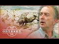 Newport S Vanishing Neolithic Treasures Time Team Odyssey Newport S Vanishing Neolithic Treasures Time Team Odyssey