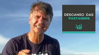 DESCANSO DAS PASTAGENS  - MINUTO NA PECUÁRIA