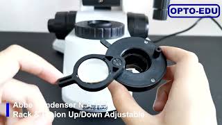 A13 0211 Upright Metallurgical Microscope, Transmit & Reflect, Polarizing