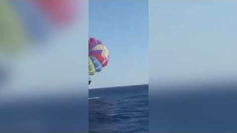 Shark Bites Off Part Of MParagliding Mans Foot