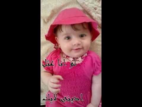 عرض شرائحي  عرض شرائحي