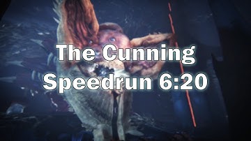 Destiny 2: The Cunning Solo WR Speedrun [6:20]