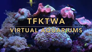 Aquarium with Bubbles SAMPLER w/ NO MUSIC : TFKTWA VIRTUAL AQUARIUM ONE HOUR SIX MIN FIFTEEN SEC