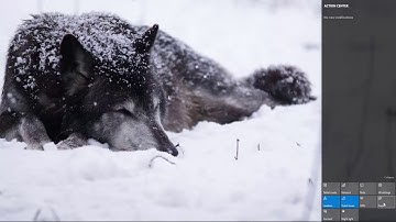 Windows 10 Action Center