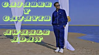 AWALE ADAN // HEES CUSUB CAJABEY CAJIIBEY // 2024