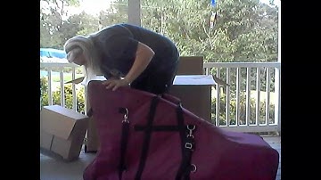 Beginner Harp Player - Dusty Strings Ravenna 34 Harp - Unboxing