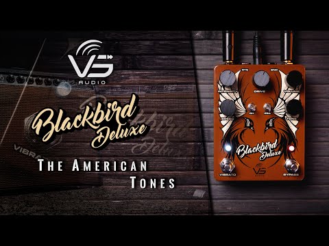 VS Audio BlackBird
