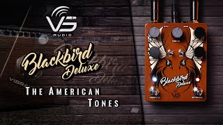 Vs Audio Blackbird Deluxe - Music Demo By A. Barrero